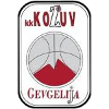 https://img.mypxzx.com/img/basketball/team/4b06fe02aaa7da5901e5698485059da0.png